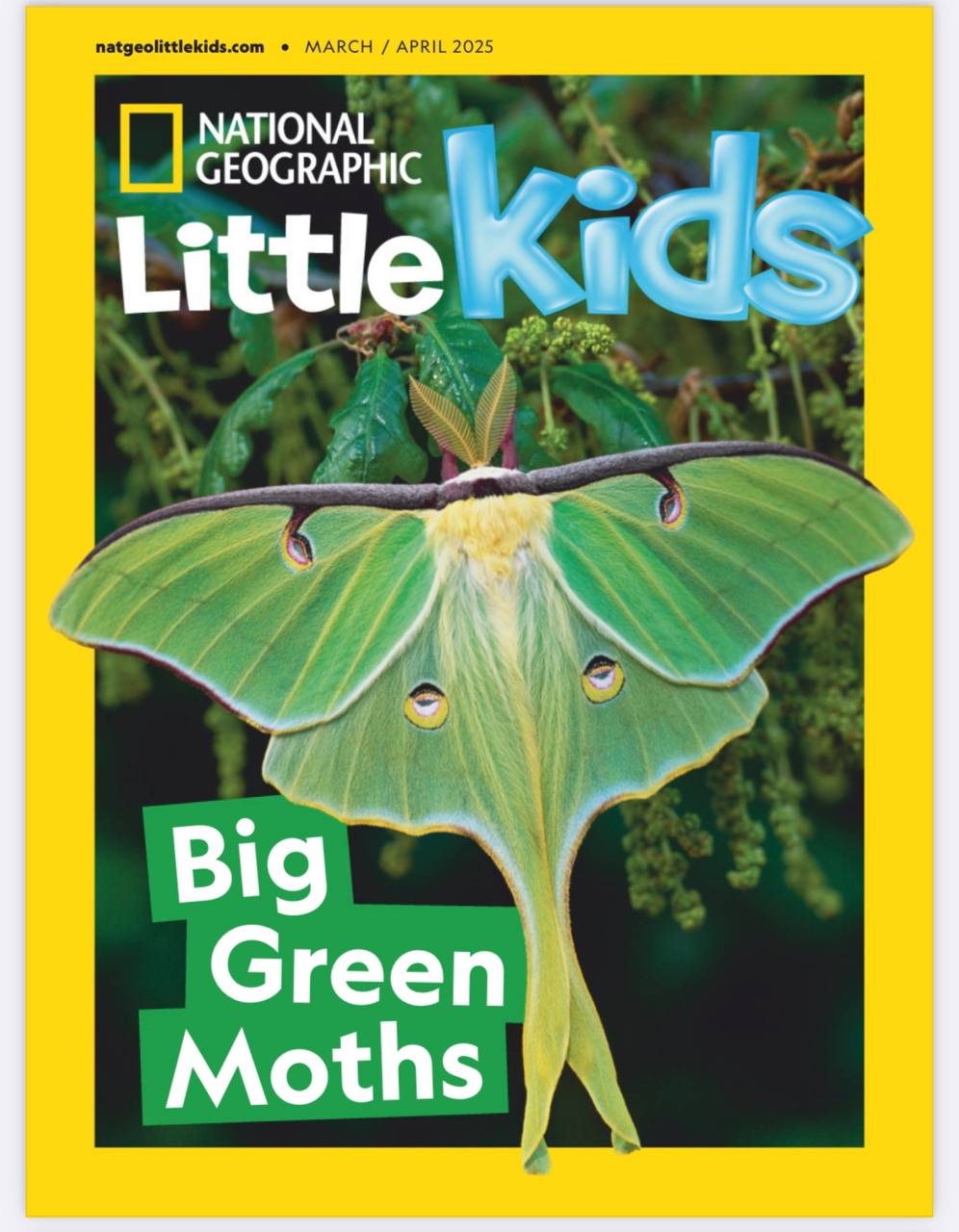 National Geographic Little Kids-03_04.2025