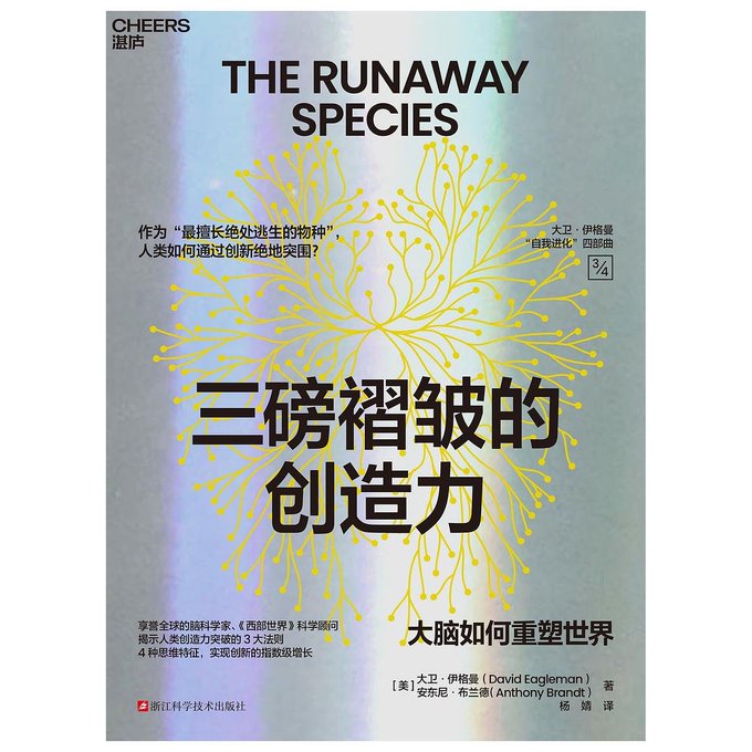 三磅褶皱的创造力