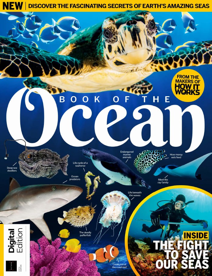 How It Works Book of the Ocean - 5th Edition 2025