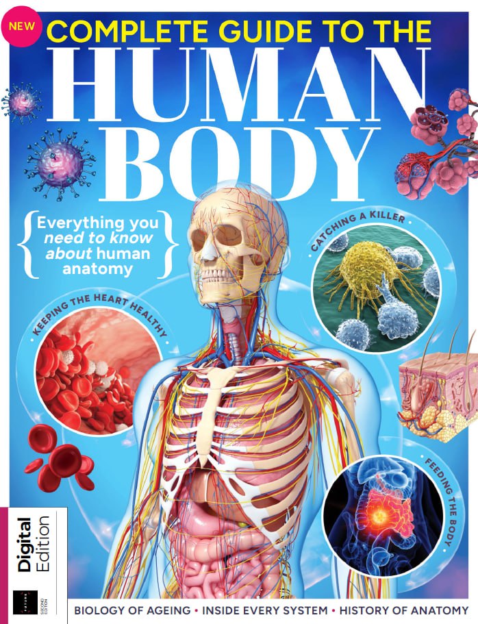 Complete Guide To The Human Body - 2nd Edition 2025